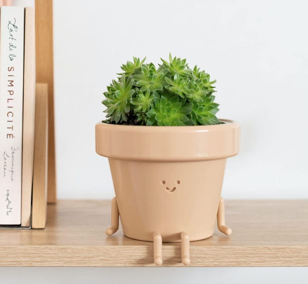 Sitting Indoor Plant Pot with Face