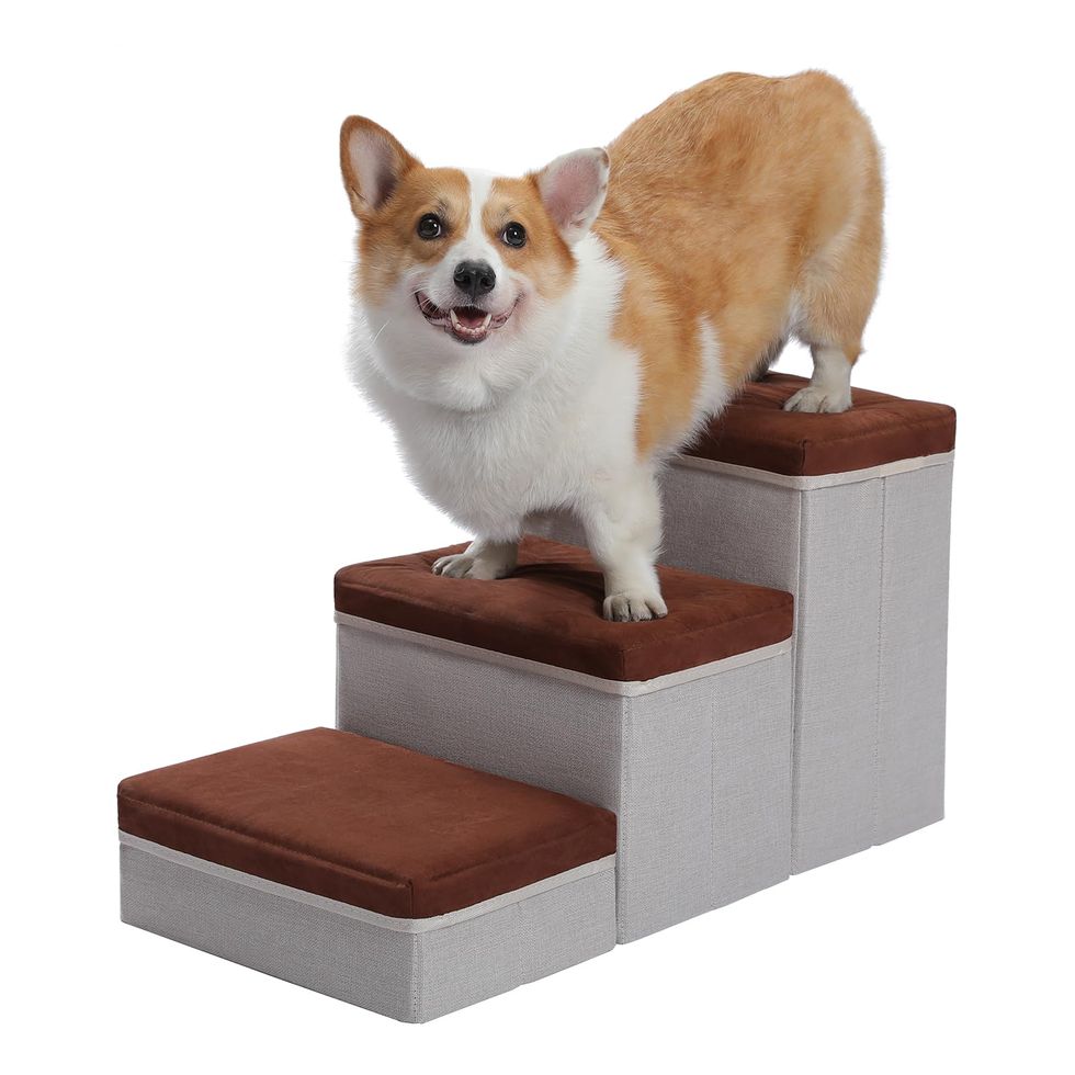 Dog Steps With Storage
