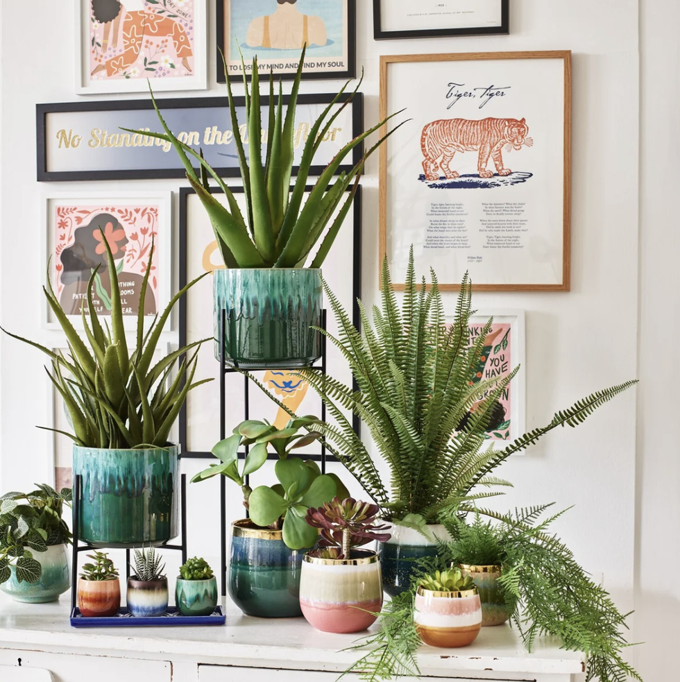 21 Best Indoor Plant Stands For Displaying Your Plants In 2023