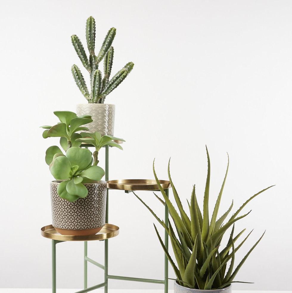 Metal Plant Stand 2-Shelf/4-Shelf Gold Plant Pot Stand for