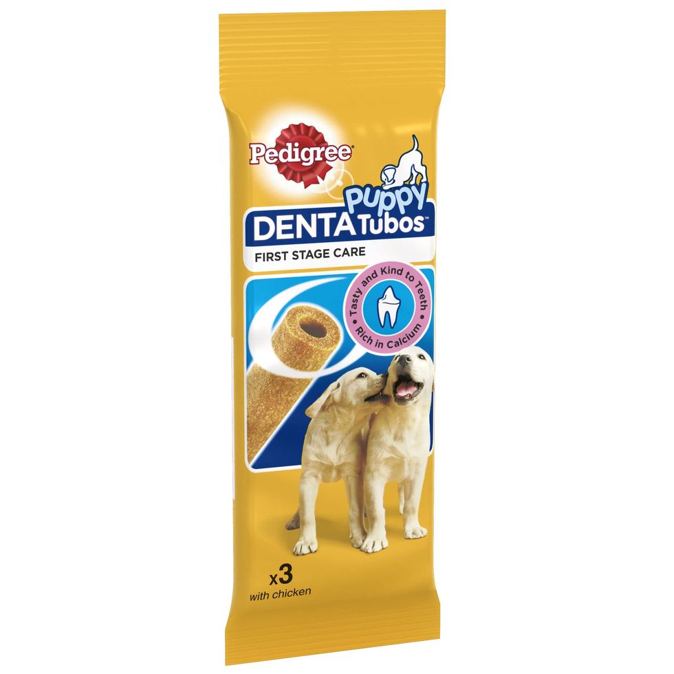 Daily Dental chews for puppies