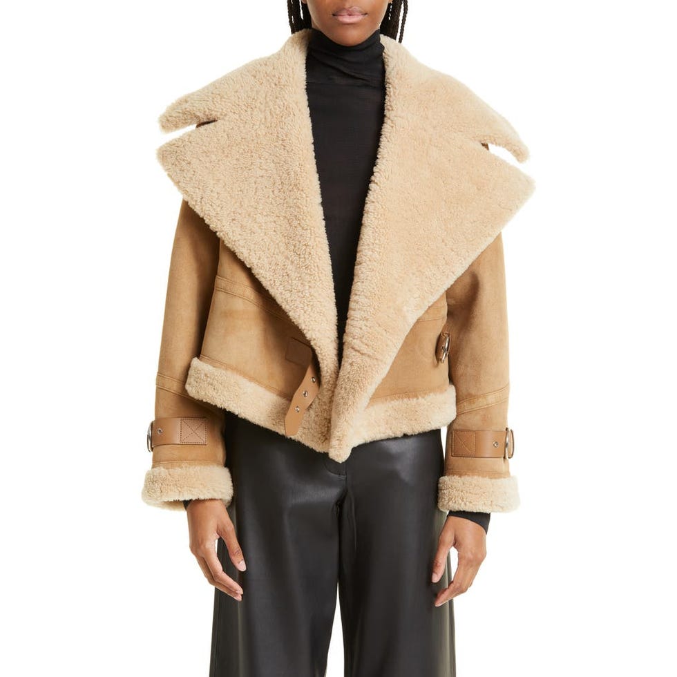 SHOREDITCH SKI CLUB Daia Belted Genuine Shearling & Leather Moto Jacket in Camel at Nordstrom, Size Medium SHOREDITCH SKI CLUB Daia Belted Genuine Shearling & Leather Moto Jacket in Camel at Nordstrom, Size Medium