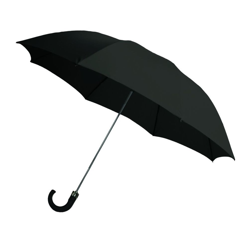 2-Fold Auto Open Umbrella