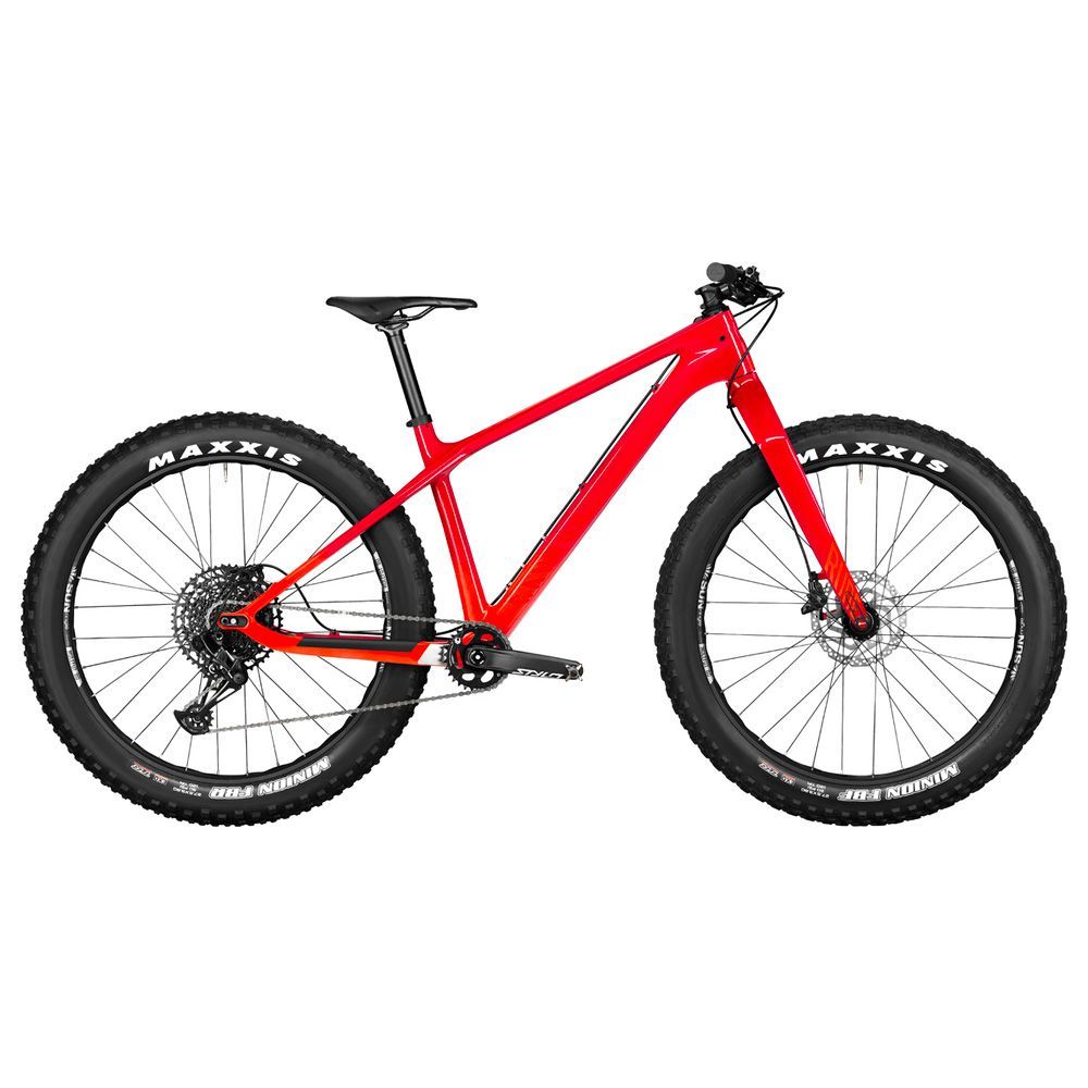 Best entry level store fat tire bike