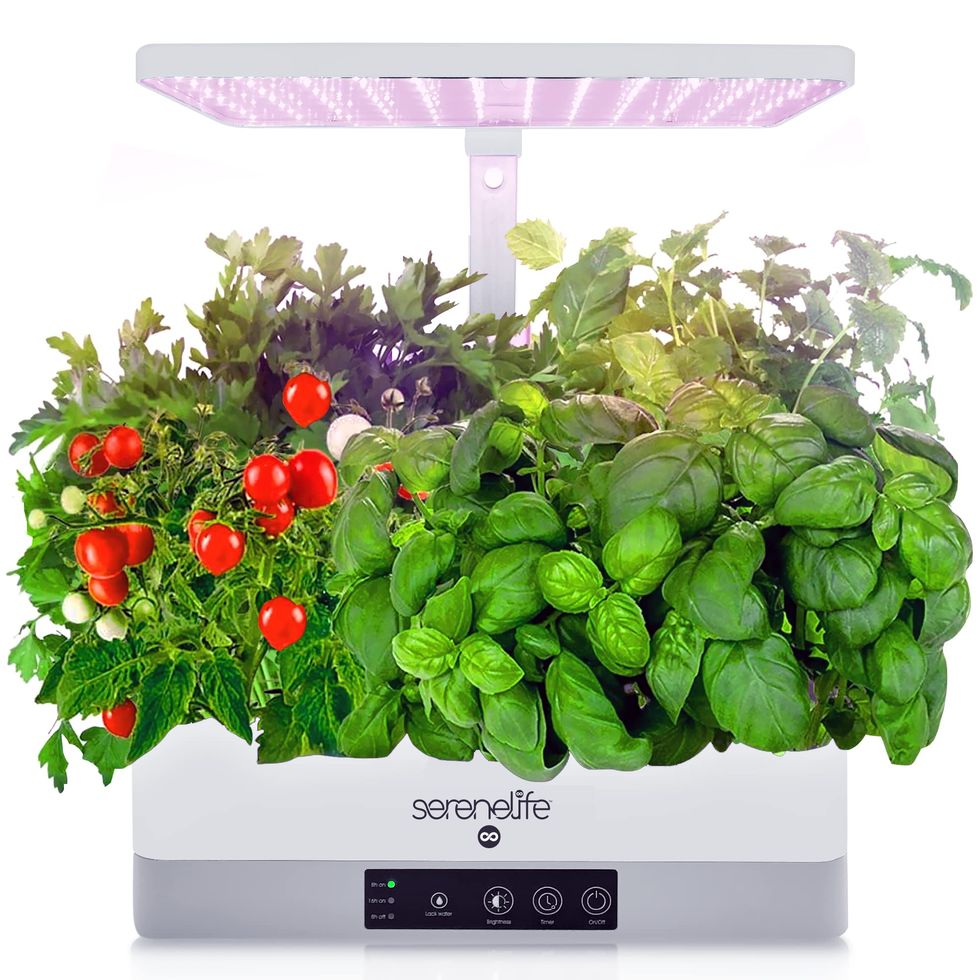 Hydroponic Indoor Herb Garden Starter Kit