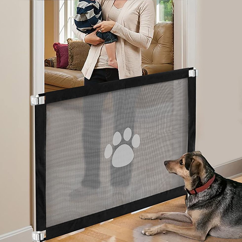 Magic Gate for Dogs