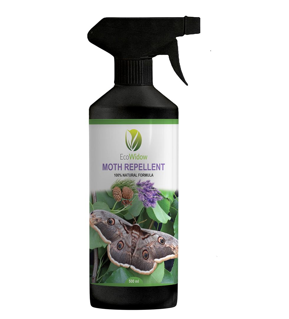 What Is The Best Natural Moth Repellent?