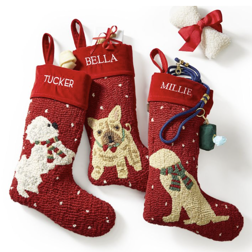 20 Best Dog Christmas Stockings for Your Pet 2023