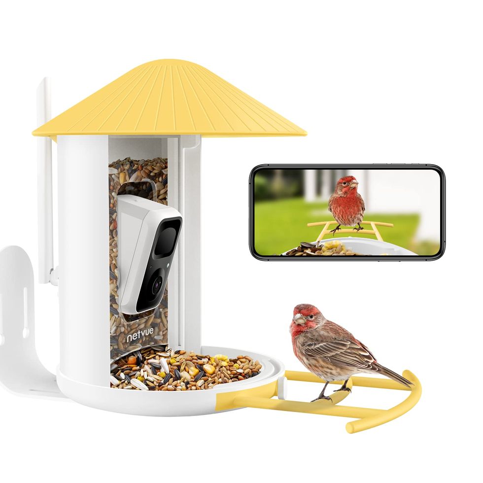 Birdfy Lite Smart Bird Feeder Camera