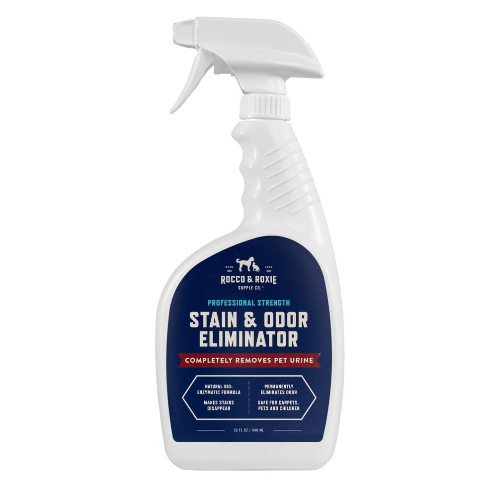 Stain and Odor Remover