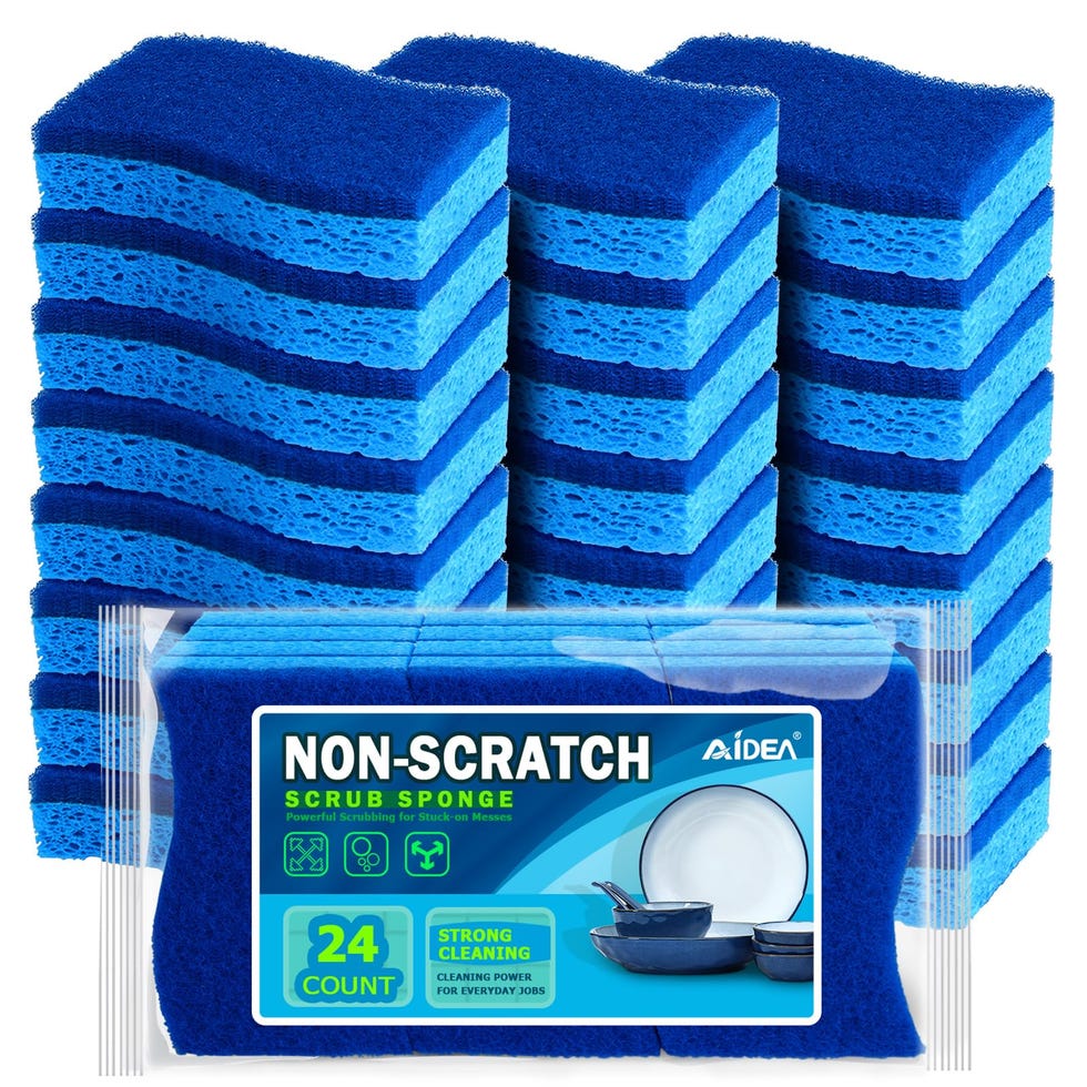 24-Count Non-Scratch Scrub Sponges