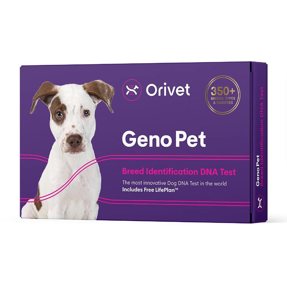 Orivet Genopet Dog DNA Test, Dog Breed Test Kit