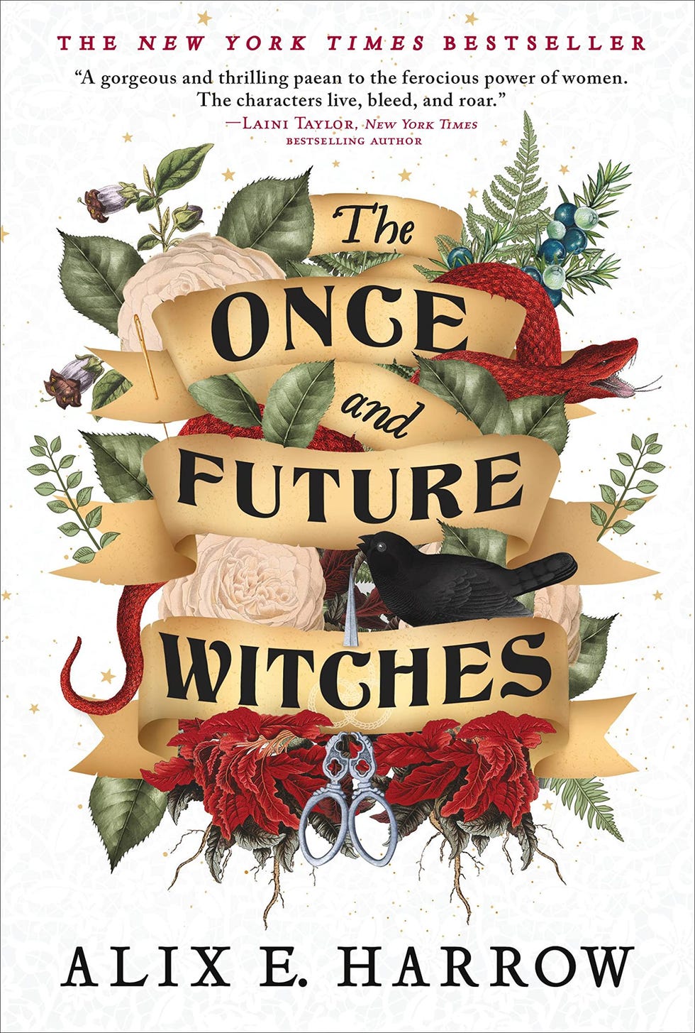 The Once and Future Witches The Once and Future Witches