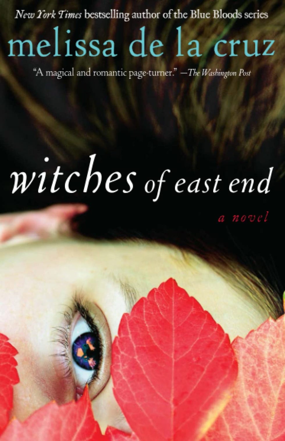 Witches of East End (Witches of East End, 1) Witches of East End (Witches of East End, 1)