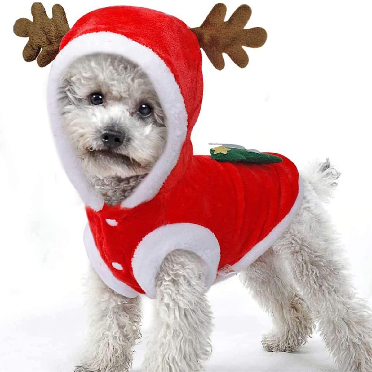 Dog christmas best sale tree sweater