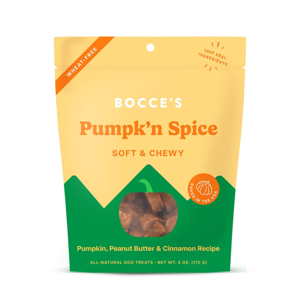 Pumpk'n Spice Treats for Dogs