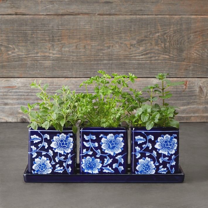 Ceramic Herb Tray With Pots
