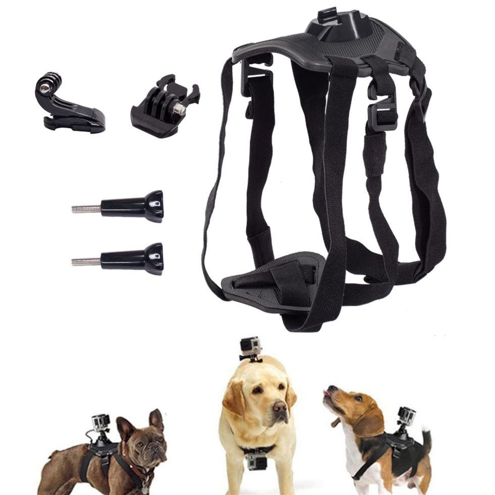 Dog Harness Mount for Gopro