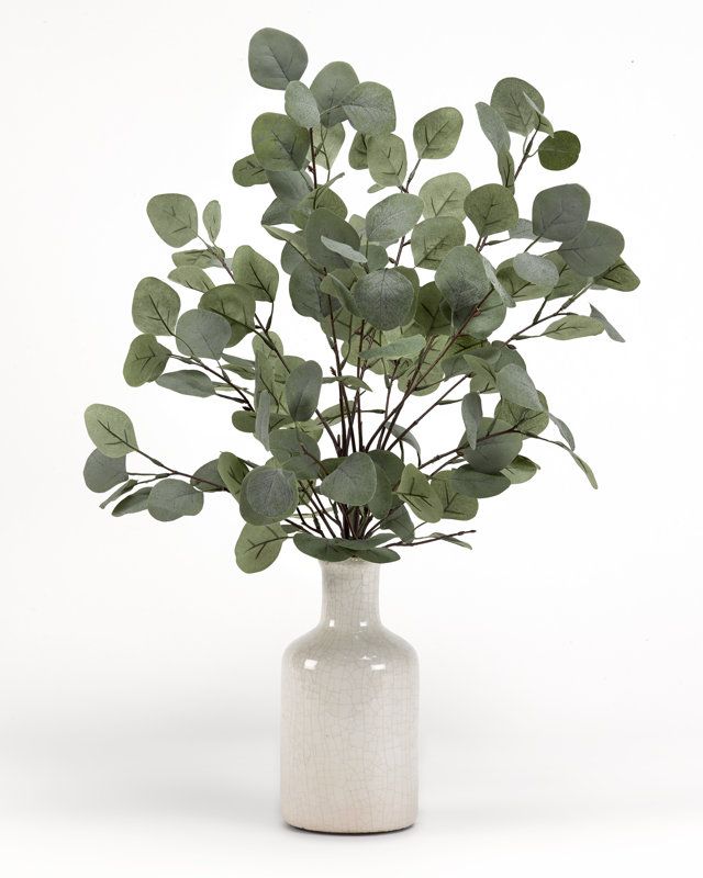 Eucalyptus In Ceramic Bottle