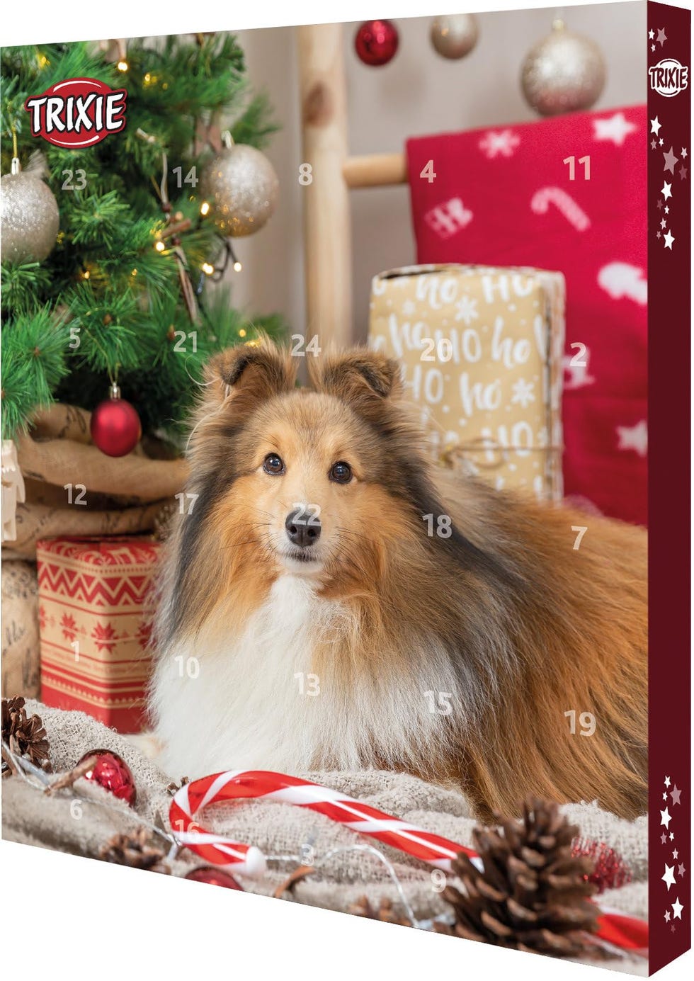 Calendario de Adviento navideño para perro 