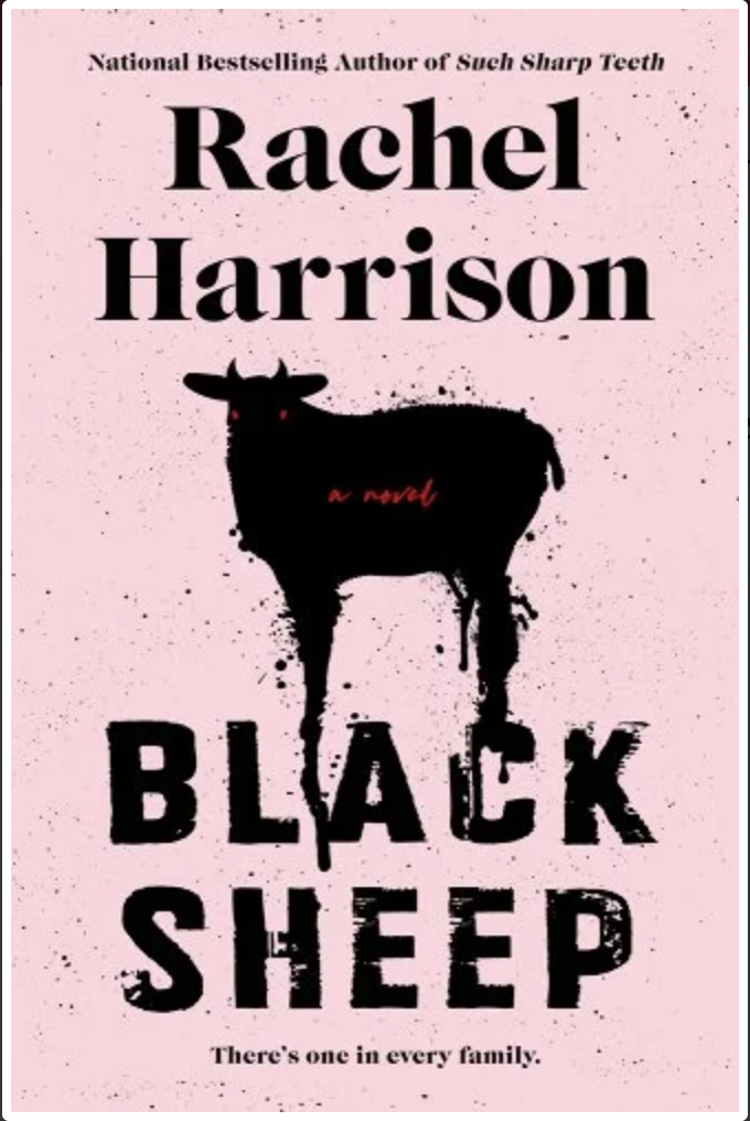 "Black Sheep" by Rachel Harrison