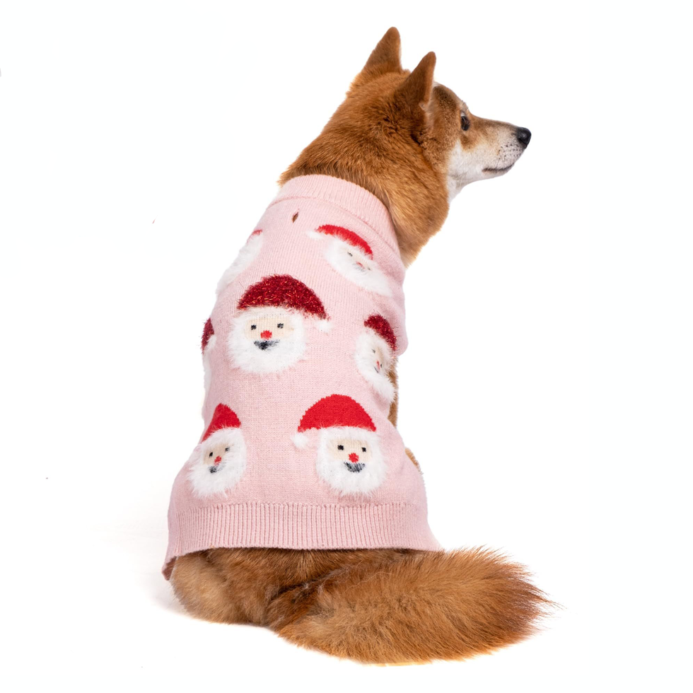 NACOCO Santa Claus Pet Sweater Dog Sweaters Cold Weather Outfit for Small  to Medium Sized Dogs and Cats for Christmas Day (Santa Claus, Large)