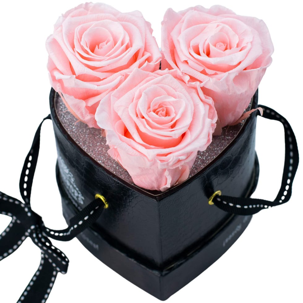 Pop-Up Three Preserved Real Roses 