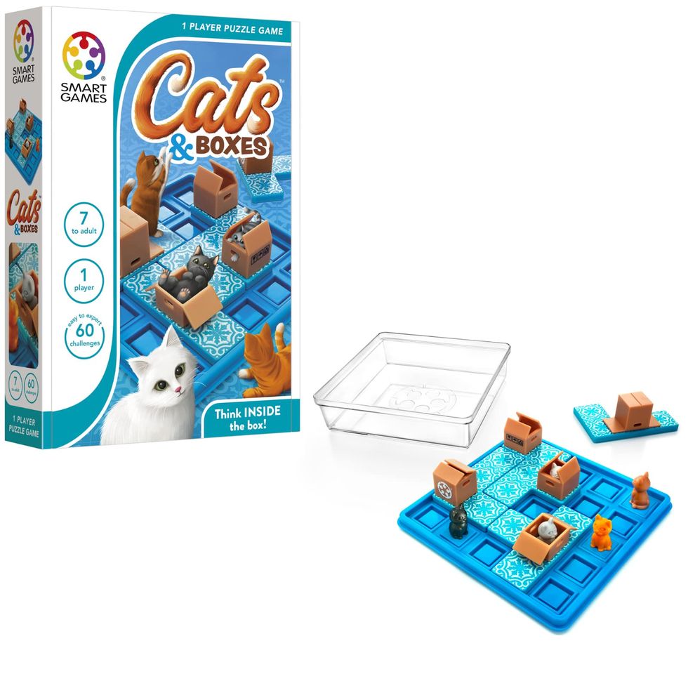 SmartGames: Fun, skill-building brain games for the whole family!