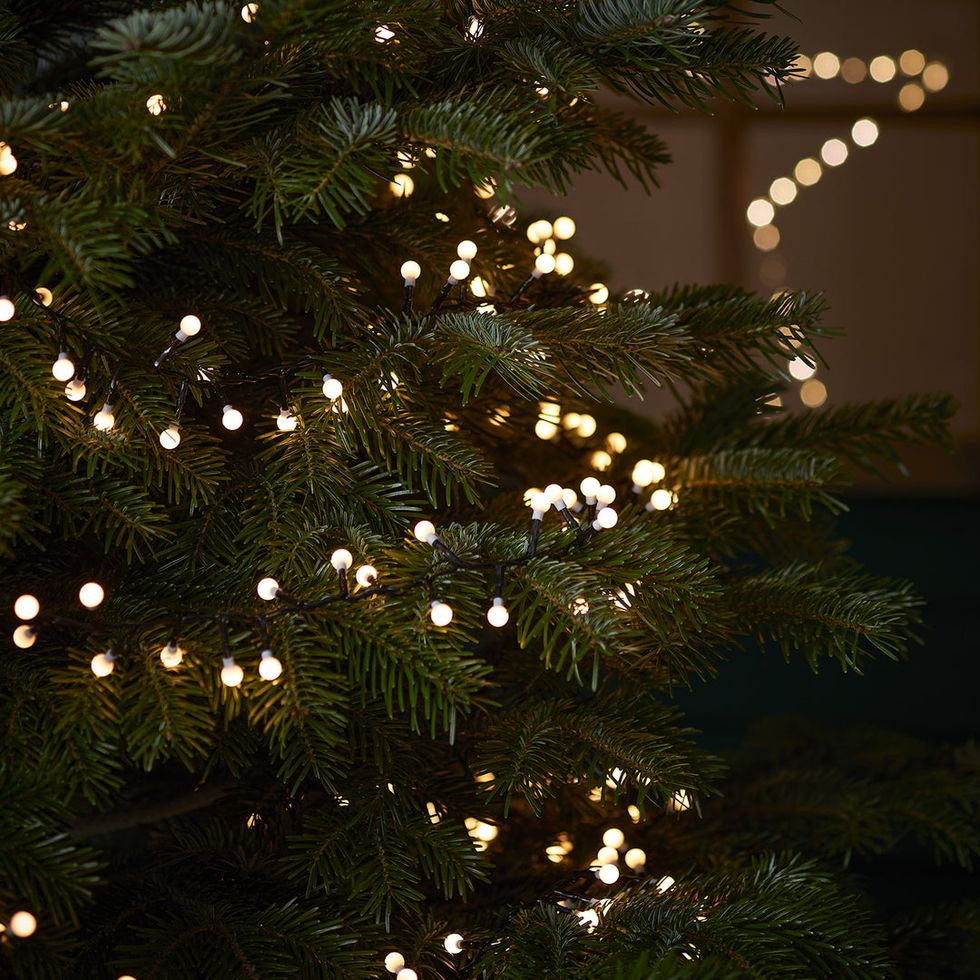 500 Compact Berry LED Christmas Tree Lights