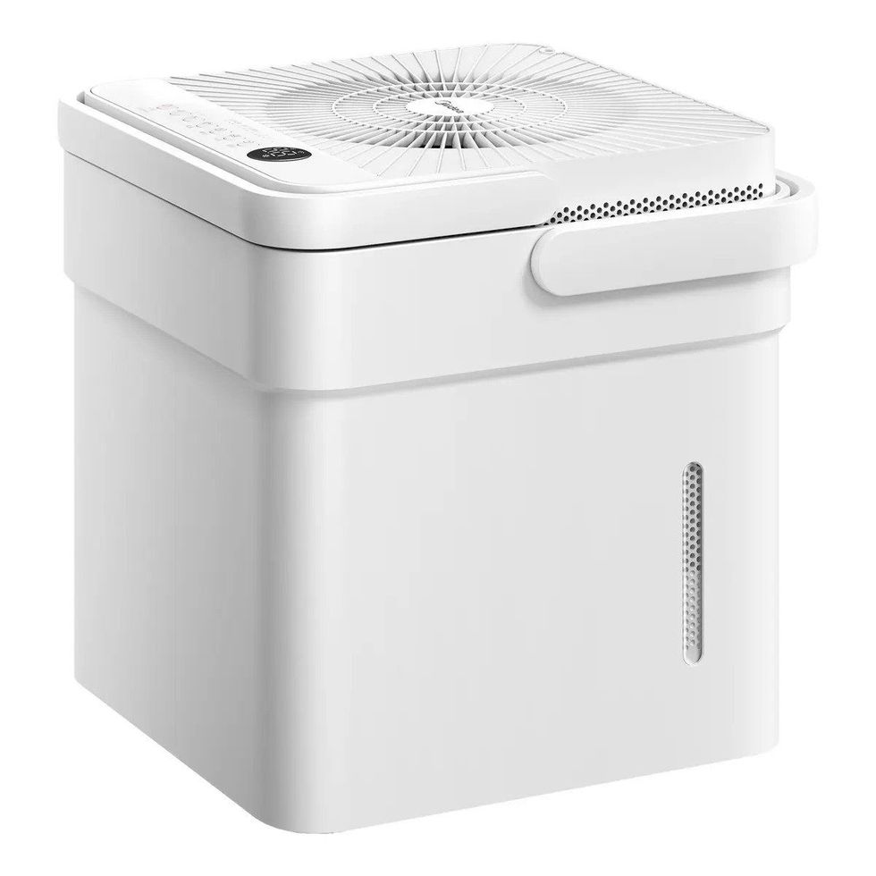 The 3 Best Dehumidifiers of 2024