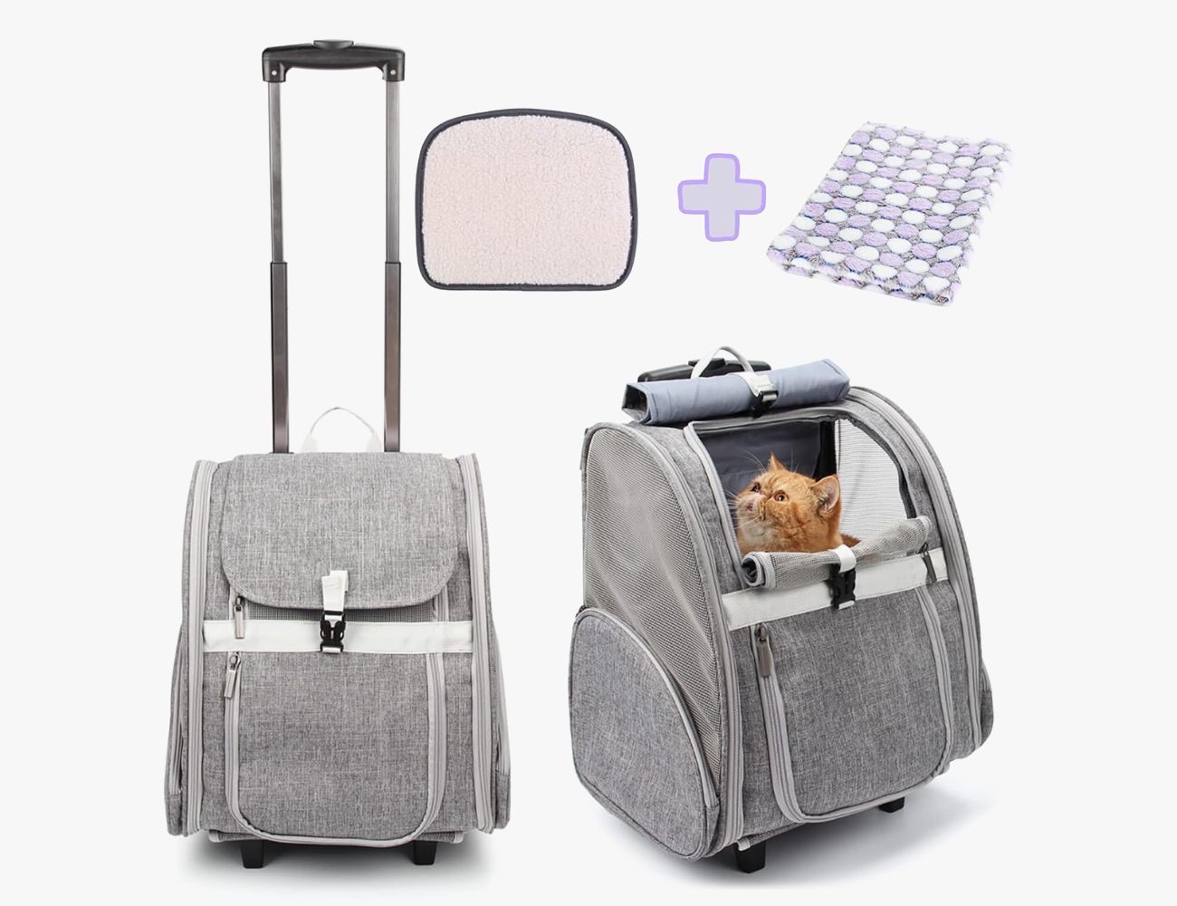 Paws & Claws Collapsible Pet Carrier - Assorted – Coles Best Buys  Online Exclusives