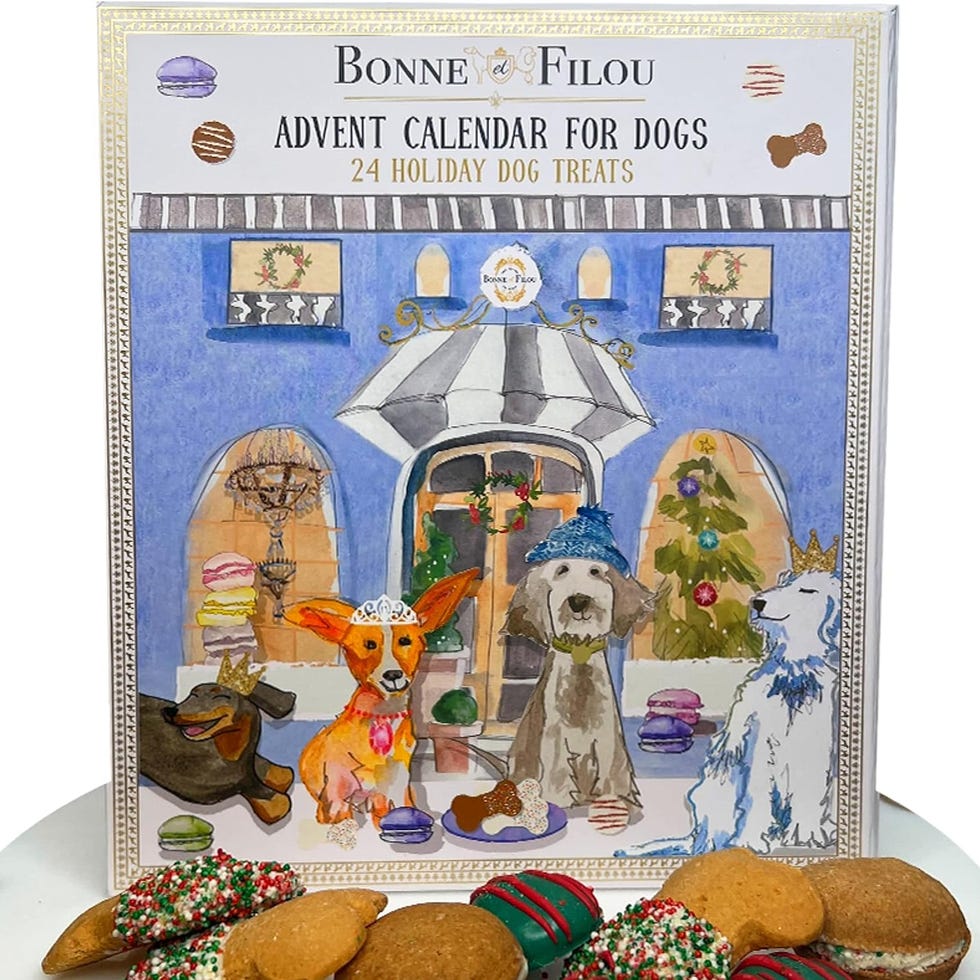 10 Best Pet Advent Calendars of 2024 10 Best Pet Advent Calendars of 2024