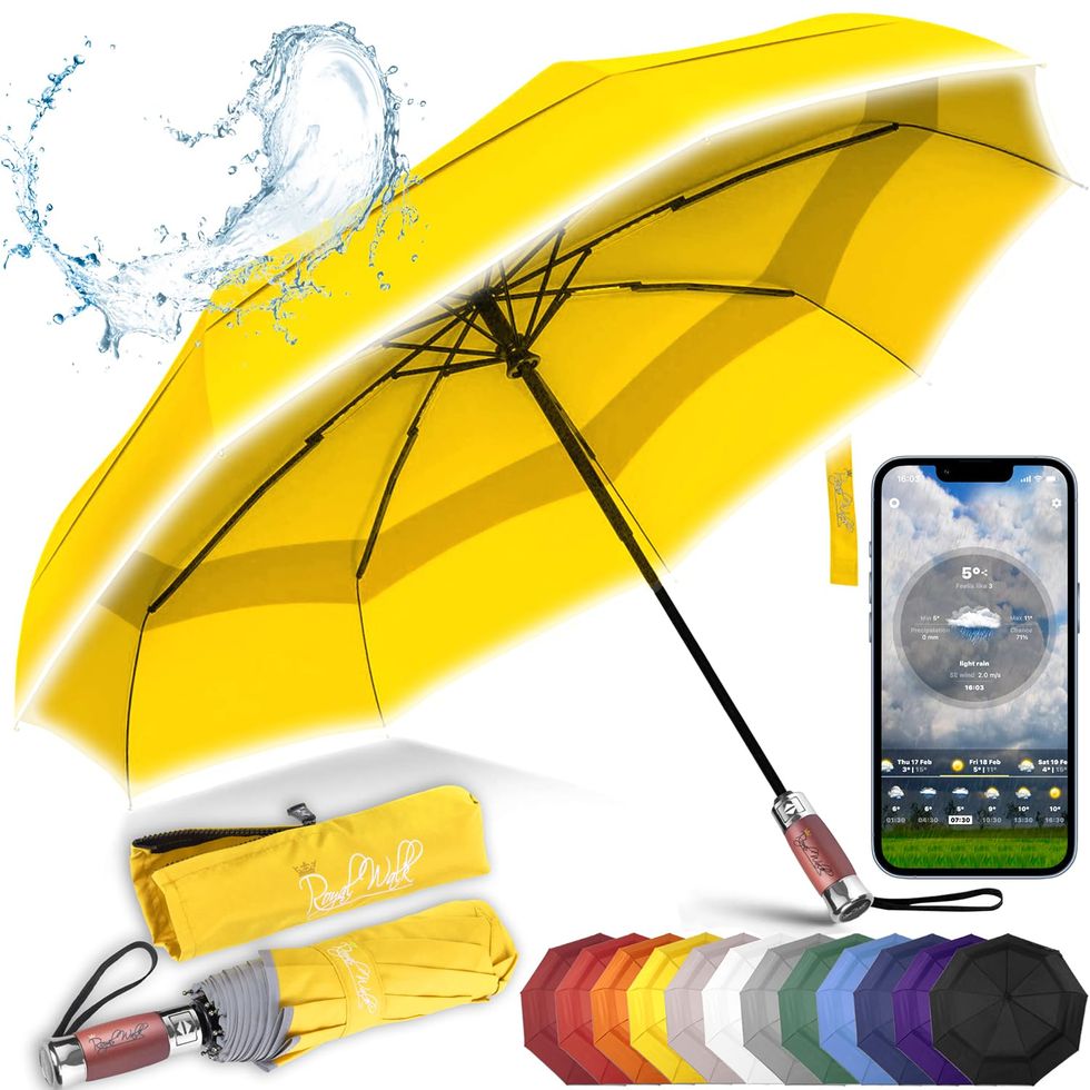 Windproof Folding Travel Umbrella