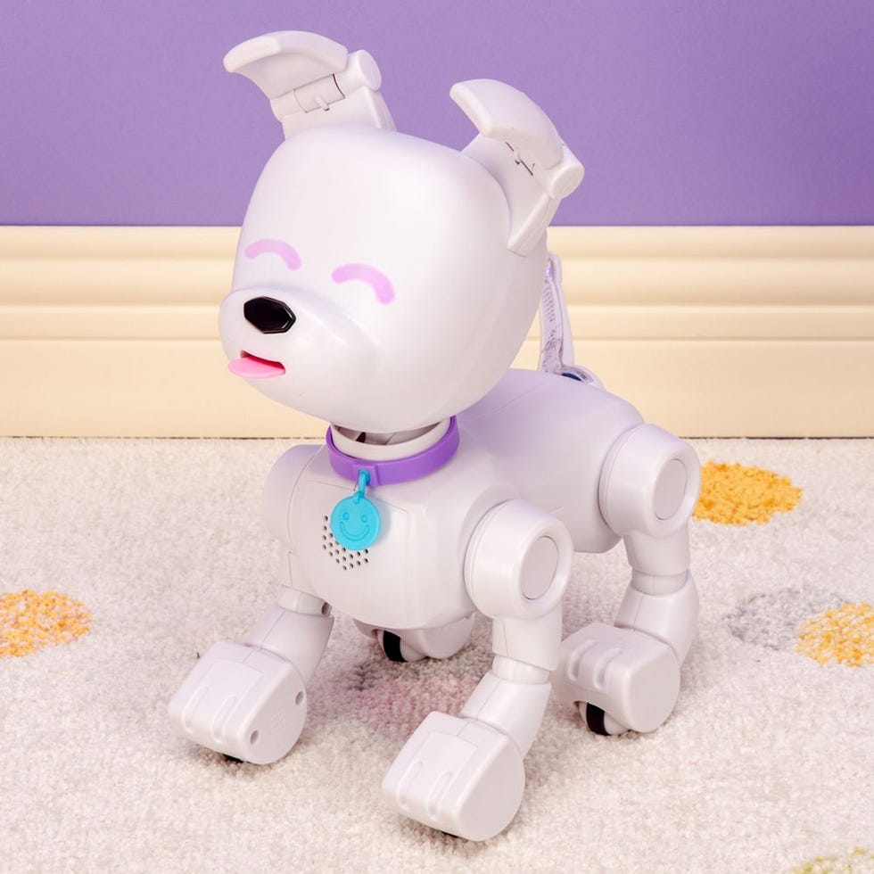 Electronic Puppy Pet Toys Kids STEM Toys Interactive Electronic