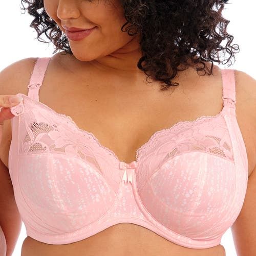 Are the Best Bras for Large Busts atTarget?! — hey ShannonAshley