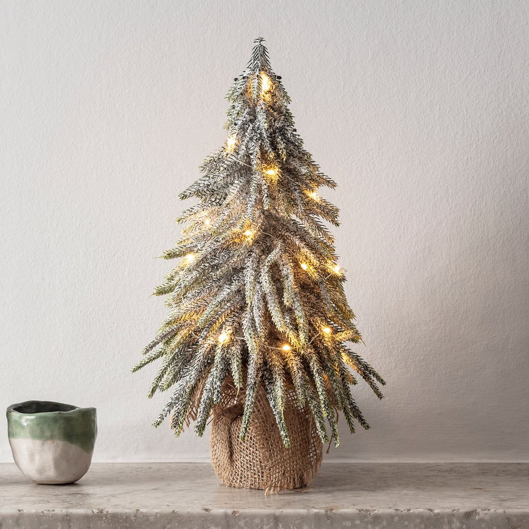 Small christmas sale tree with lights