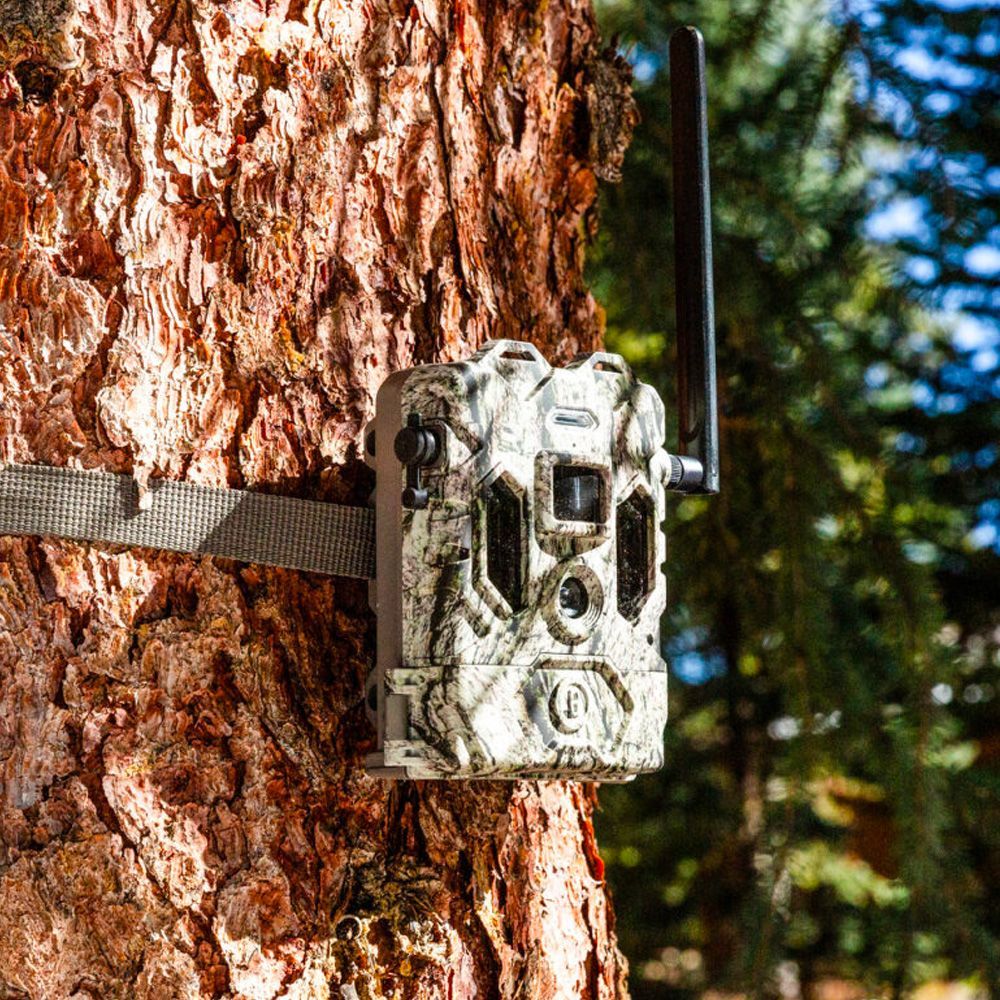 Game trail outlet cameras