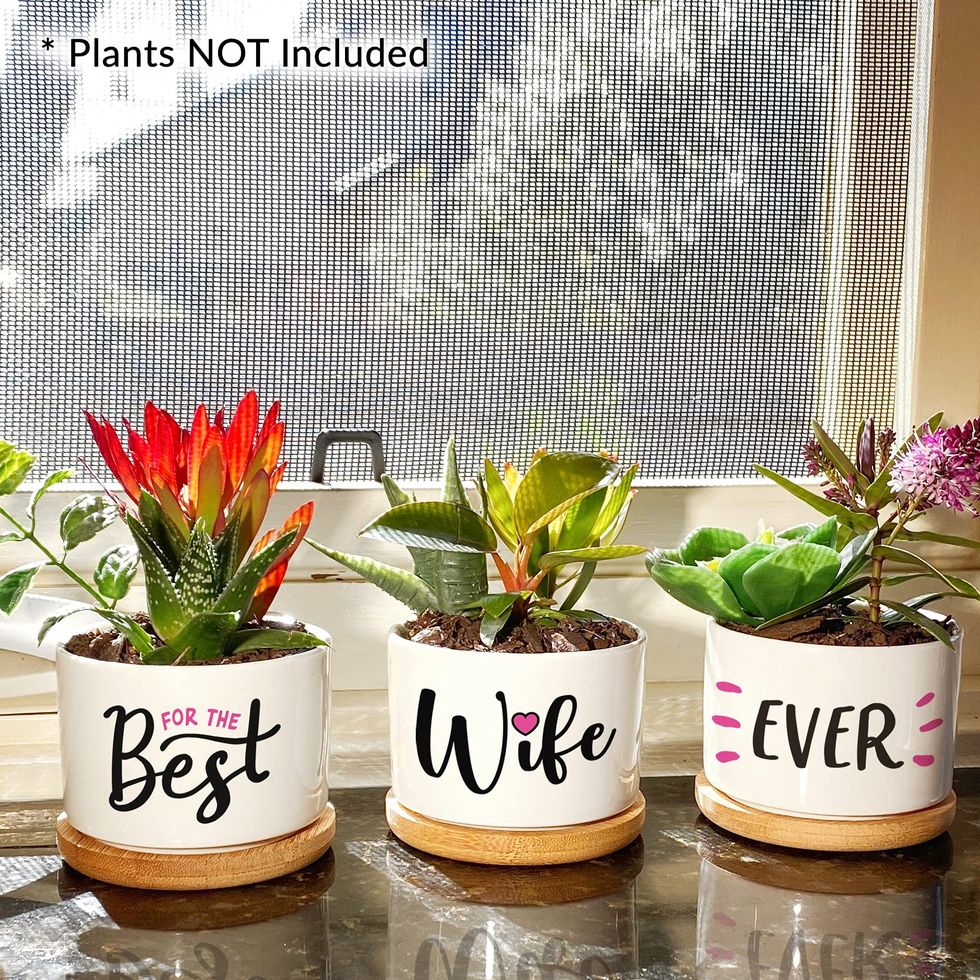 Gifts for Wife, Wedding Anniversary Romantic Gift for Her, Valentines Day  Gift, Wife Birthday Gift Ideas, 3 Succulent Pots Only