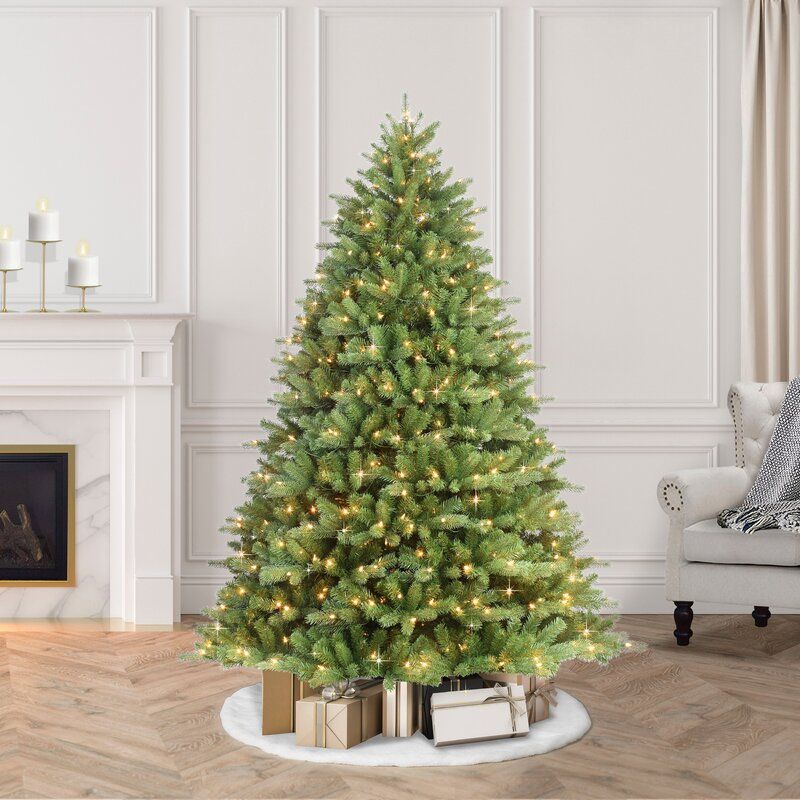 14 Best Types of Christmas Trees - Different Types of Real and ...