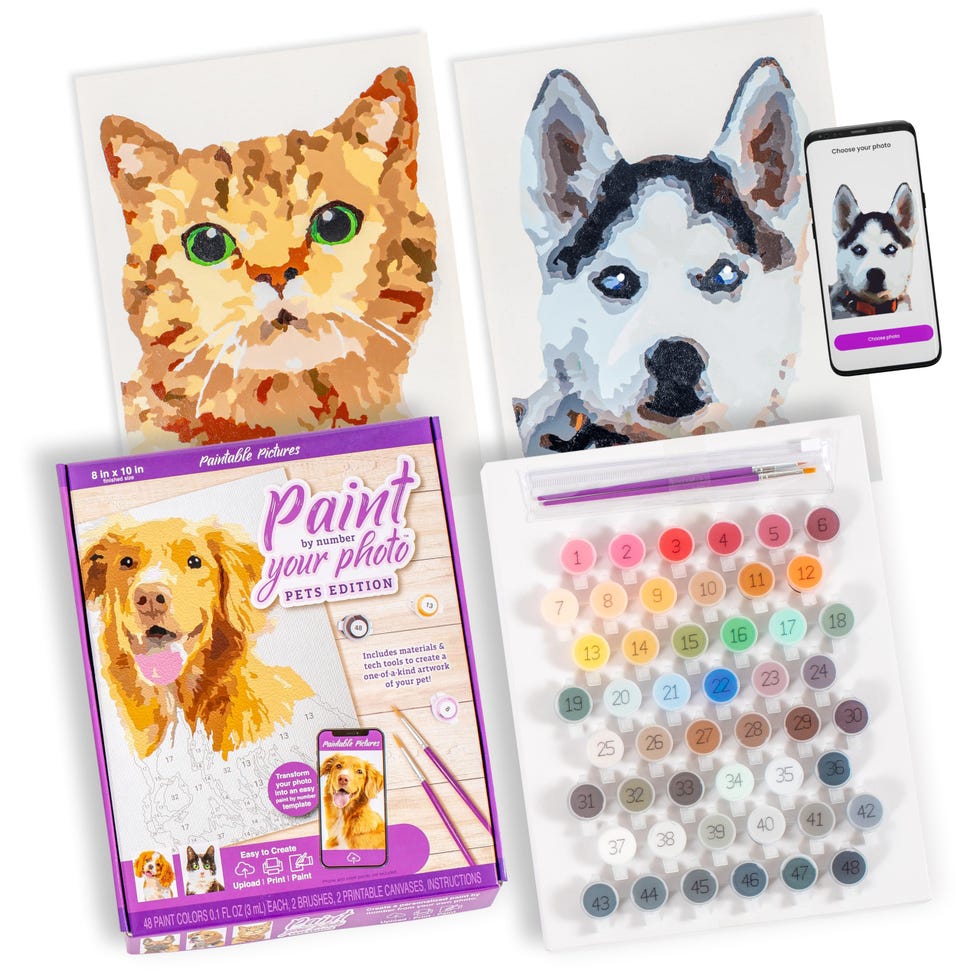 Paint Your Cat's Photo by Number Paint Your Cat's Photo by Number