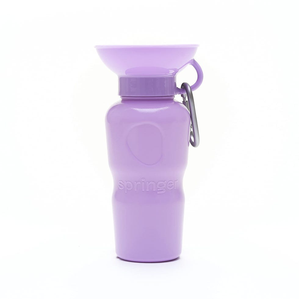 Dog Water Bottle Dog Water Bottle
