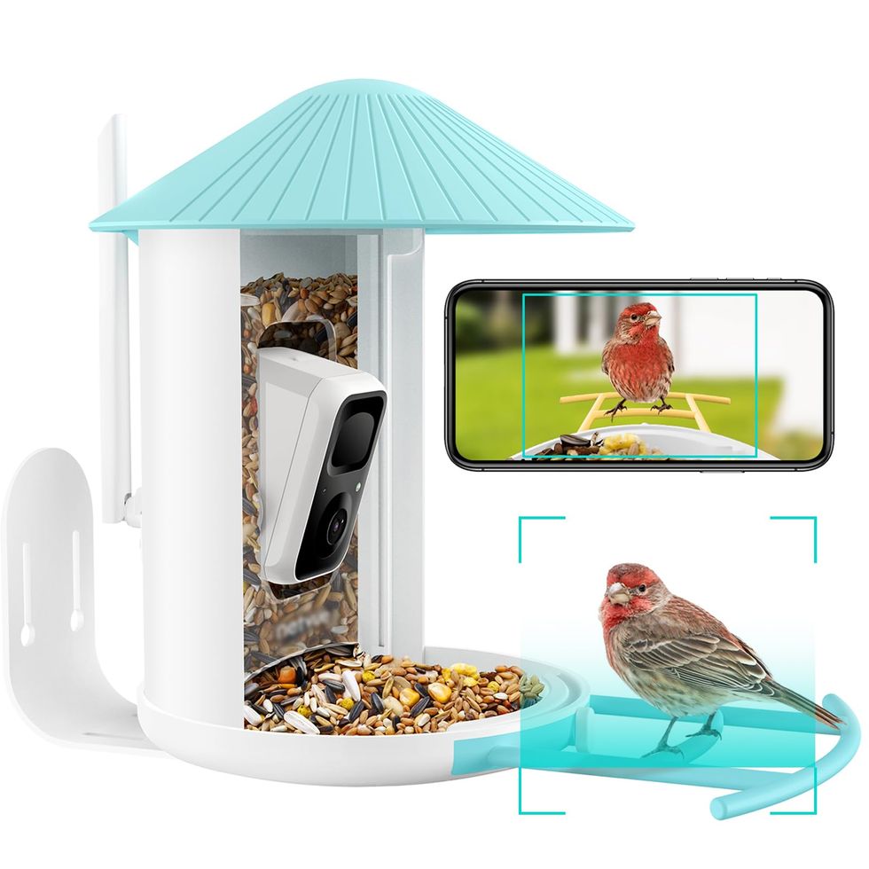 Birdfy AI Smart Bird Feeder with Camera