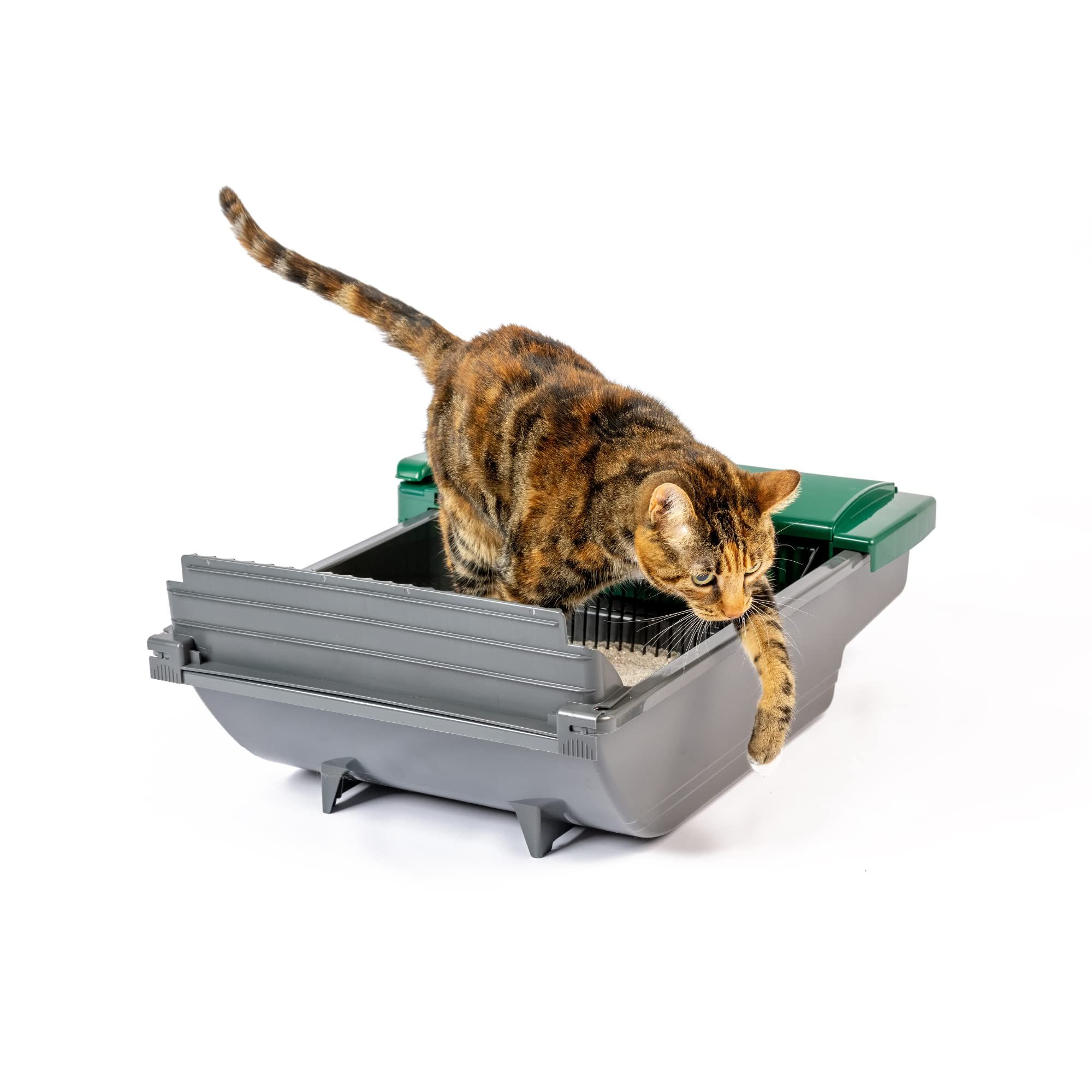 Auto kitty outlet litter box reviews