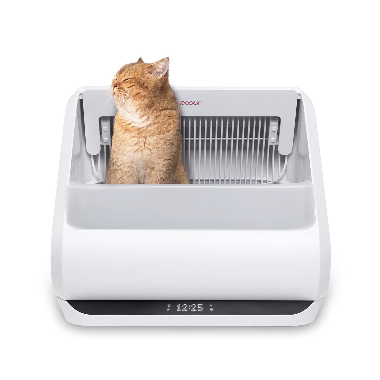 Best self cleaning store litter box 2019