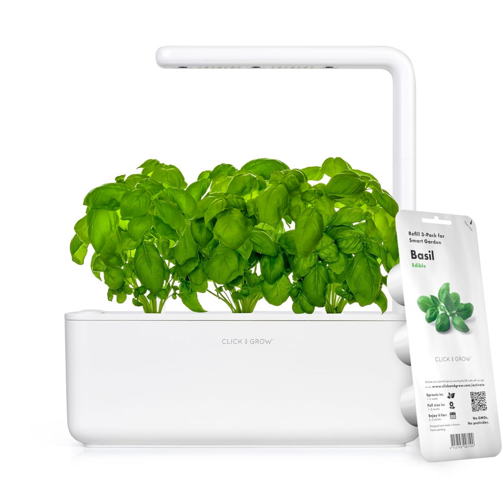 Indoor Herb Garden Kit Indoor Herb Garden Kit