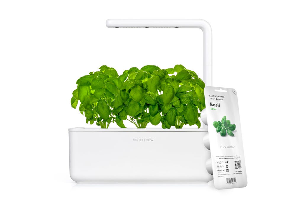 Indoor Herb Garden Kit