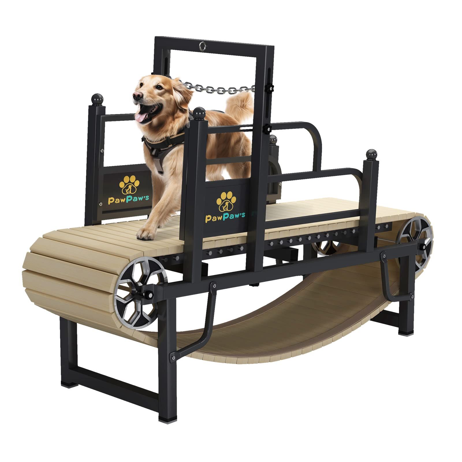 5 Best Dog Treadmills of 2023