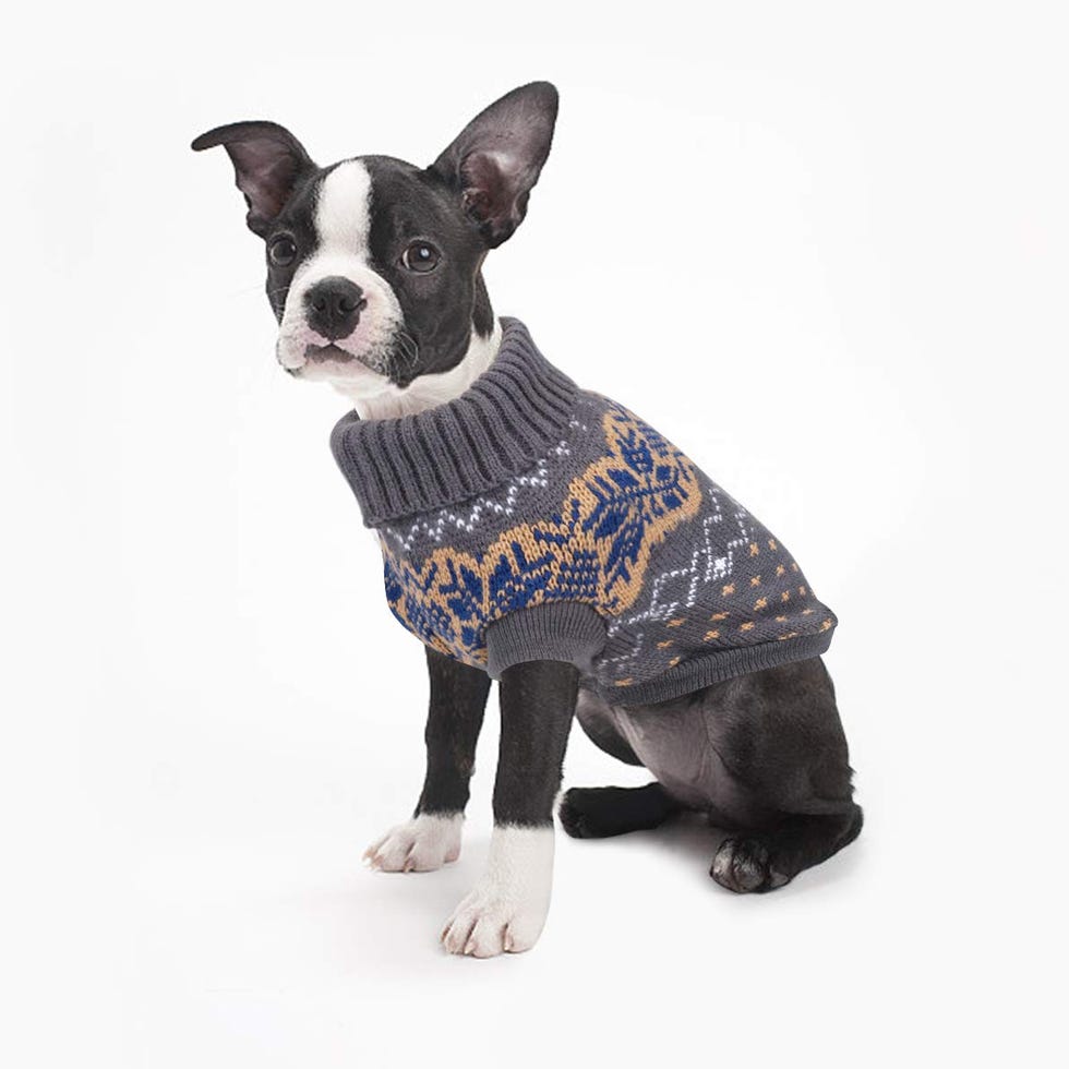 Suéter para perros
