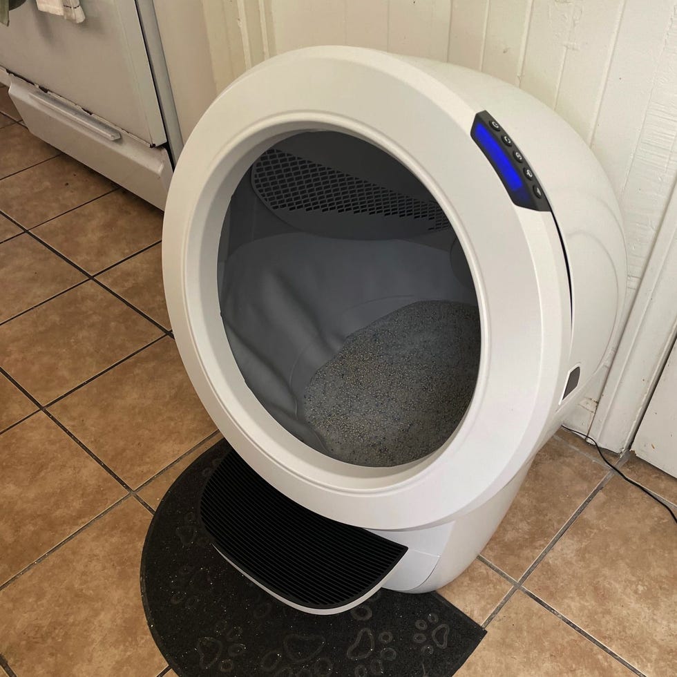 7 Best SelfCleaning Litter Boxes, Tested And Reviewed