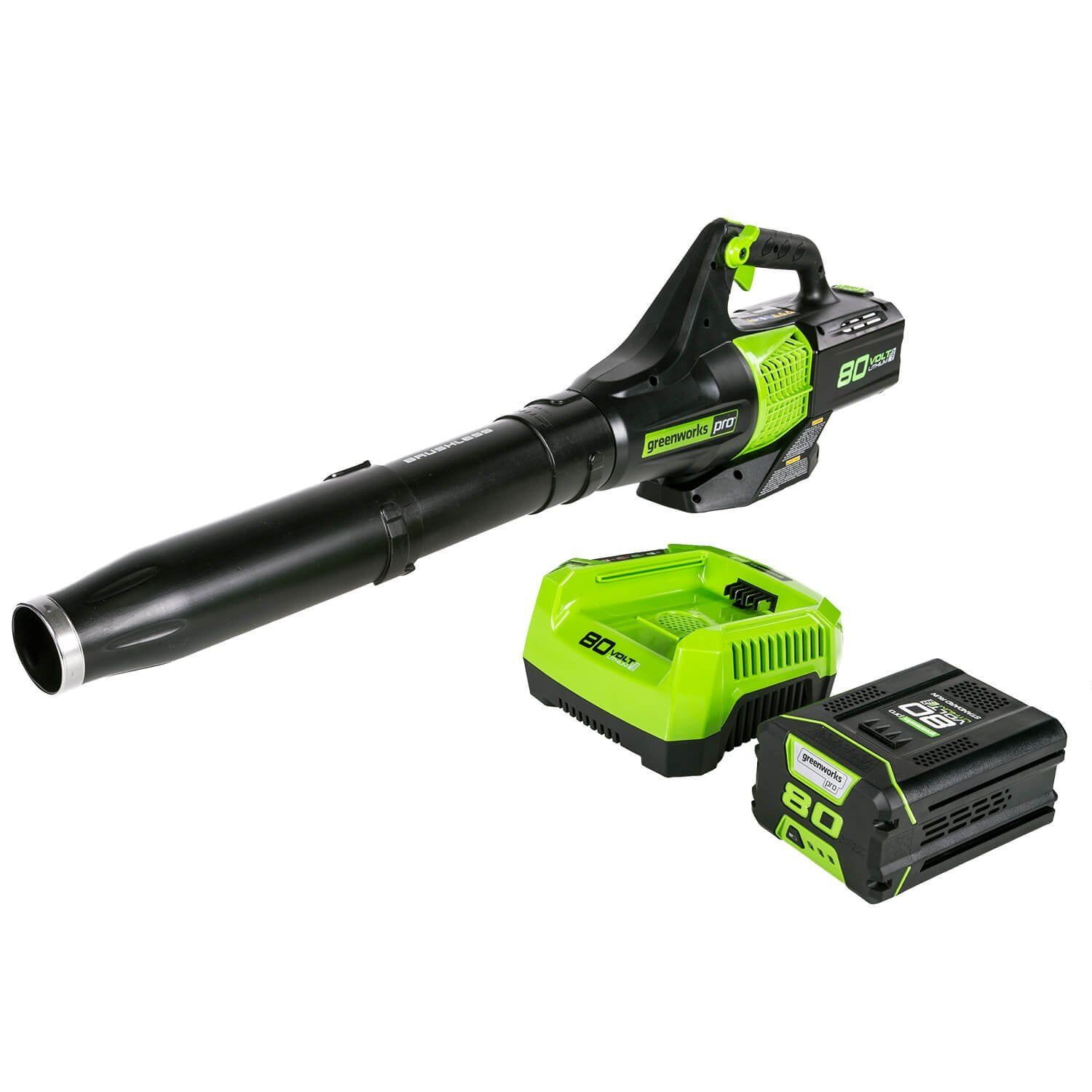 Greenworks leaf best sale blower home depot